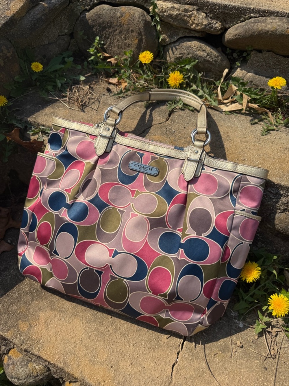 2000s Print Scarf Coach Bag